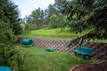 Outdoor dog park with stone wall built into hillside, dog obstacles made of green plastic